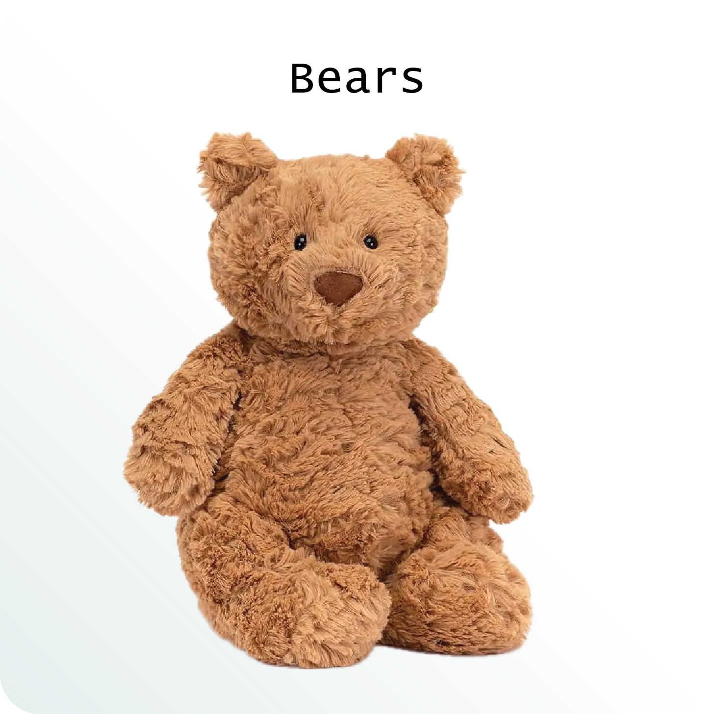 ANIMALS SERIES NOV 2025-03