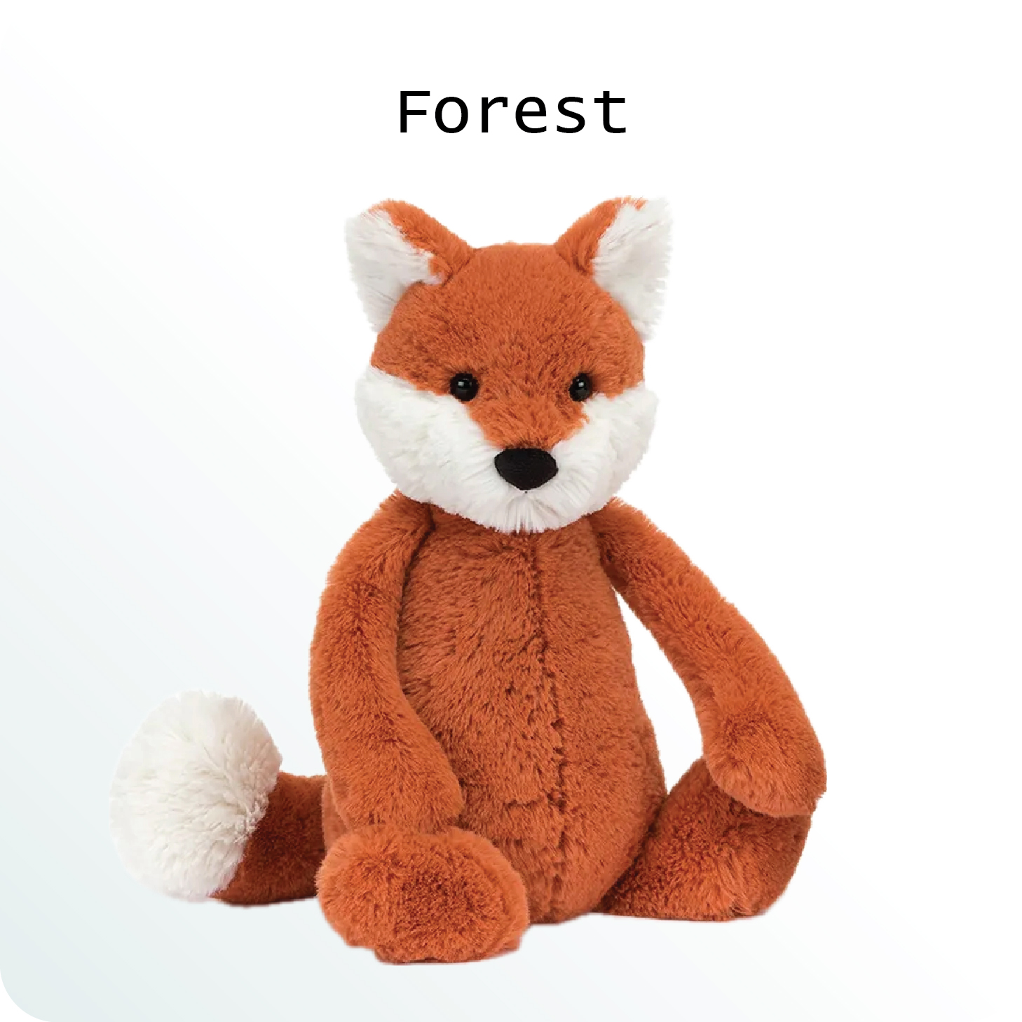 ANIMALS SERIES NOV 2025-02