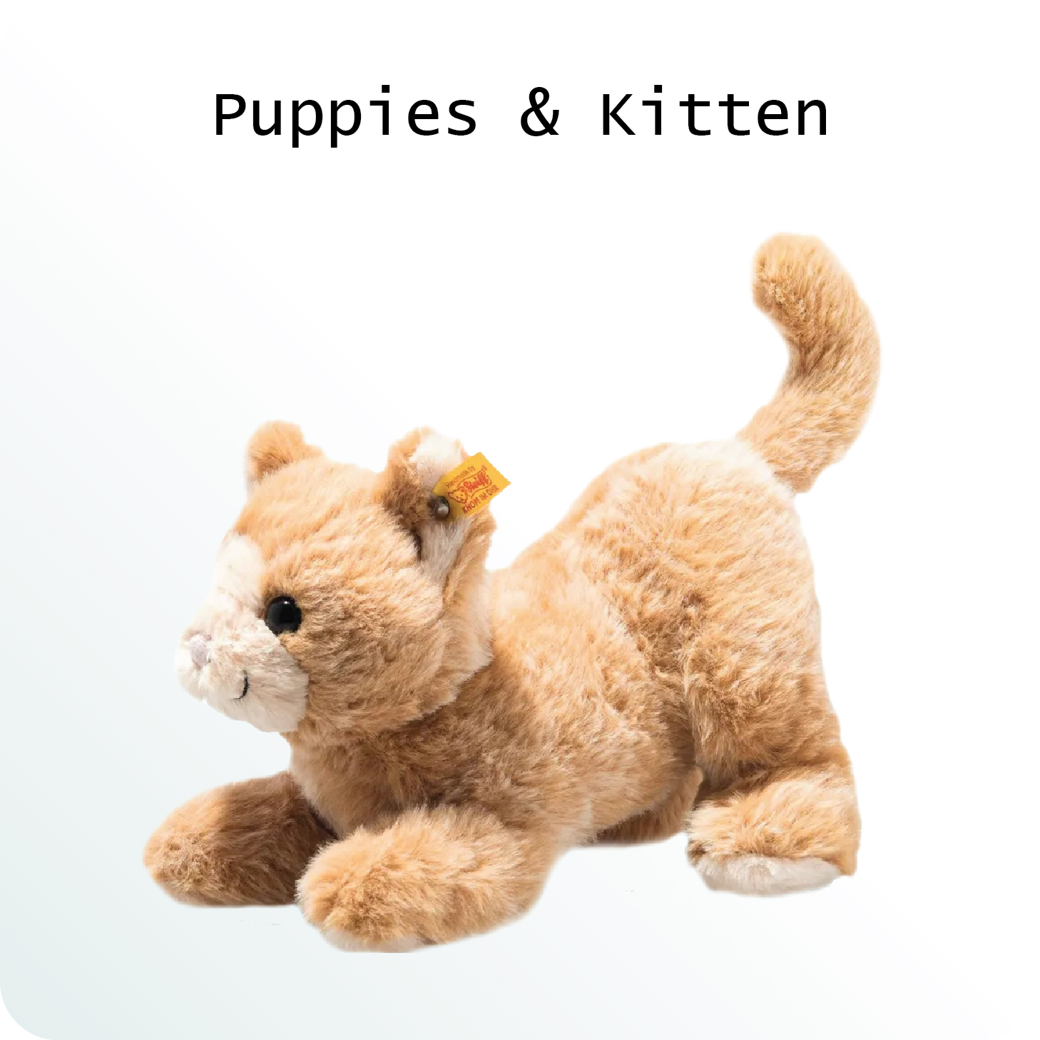 ANIMALS SERIES NOV 2025-01