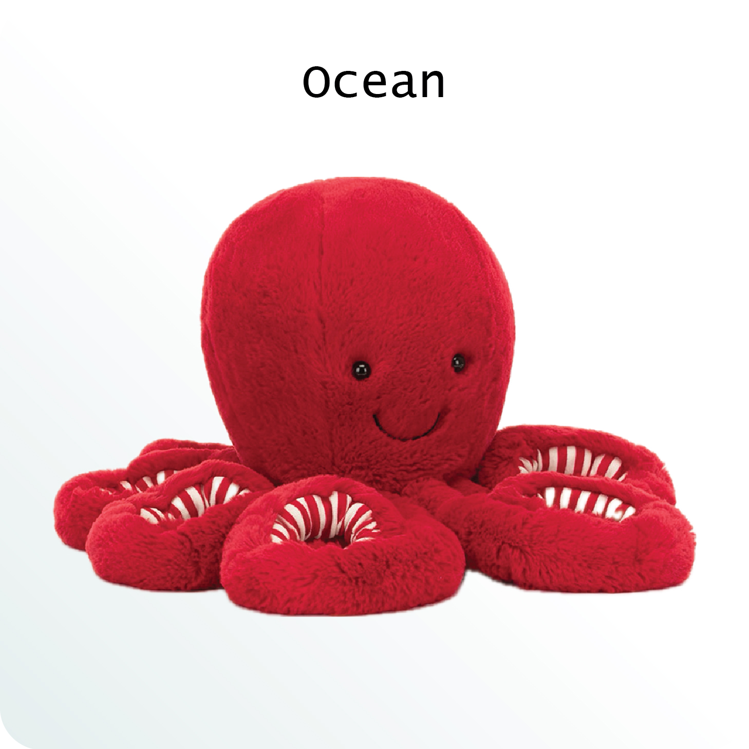 ANIMALS SERIES NOV 2025-05