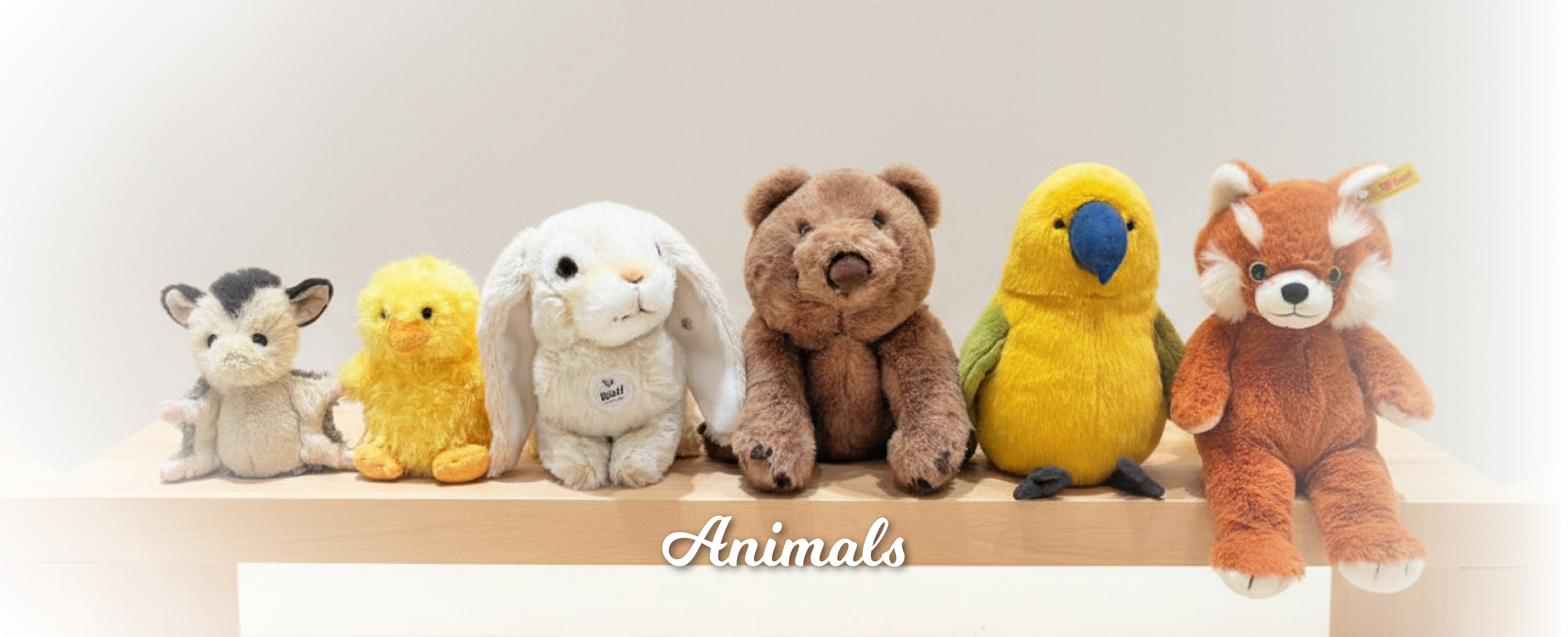 PRE ORDER 2024_September Autumn Fever