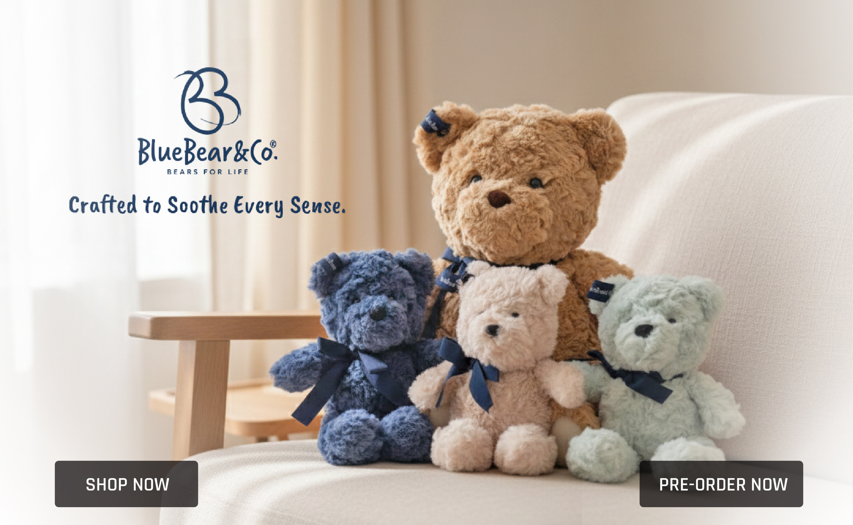 BlueBear Website Banner