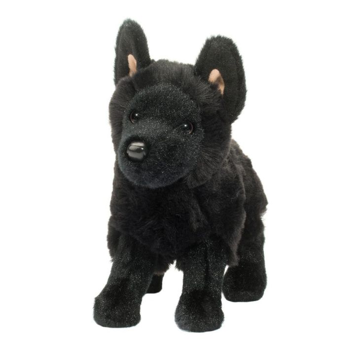 3979-2-1024x1024