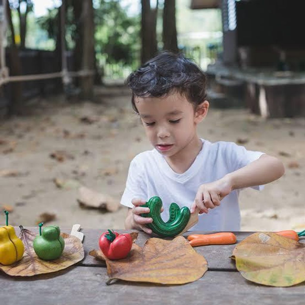 Plan Toys Wonky Fruit & Vegetables 3495 2