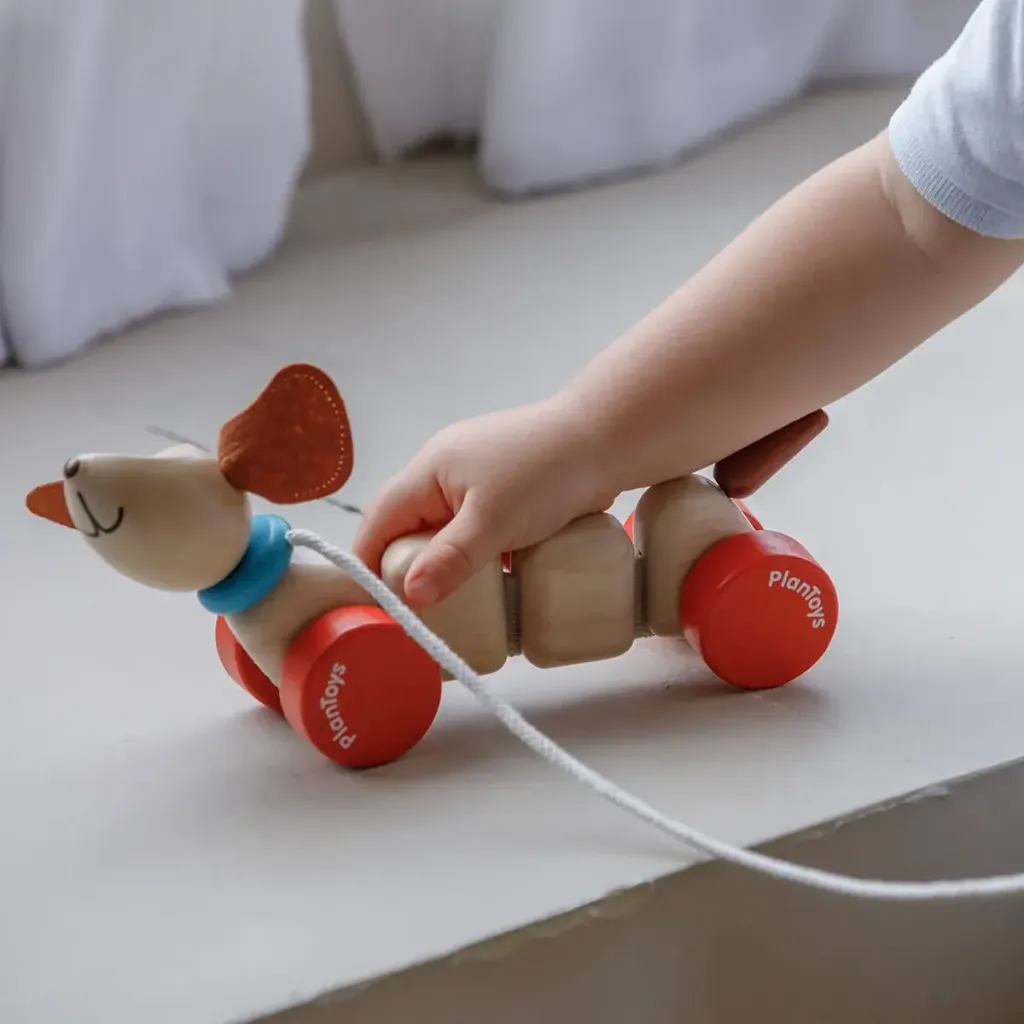 Plan Toys Happy Puppy 5101 2