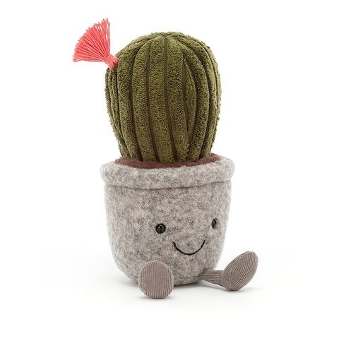 silly succelent cactus.jpg