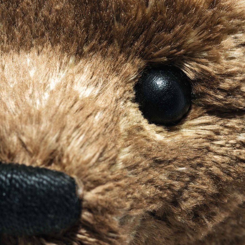 teddies-for-tomorrow-55pb-teddybaer-007118-30