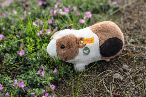 teddies-for-tomorrow-dalle-meerschweinchen-mit-quietsche-074547-10