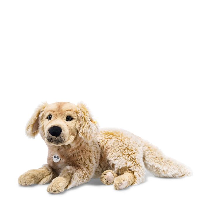 andor-golden-retriever-076947-4