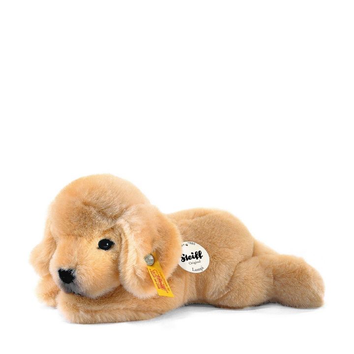 kleiner-freund-golden-retriever-welpe-lumpi-280160-1