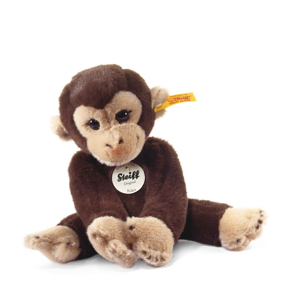 kleiner-freund-affe-koko-280122-1