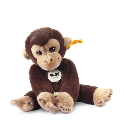 kleiner-freund-affe-koko-280122-1