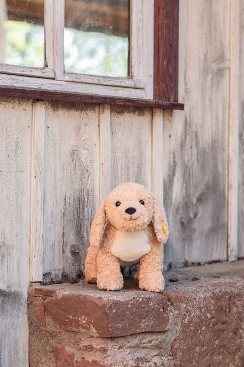 soft-cuddly-friends-berno-goldendoodle-067075-32