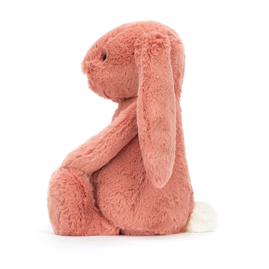 Bashful Sorrel Bunny 2