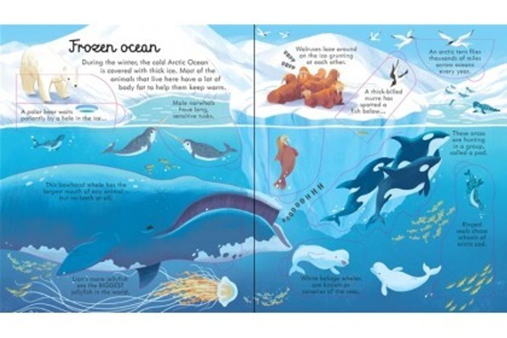 SBG9FE9a1600709928-420x280