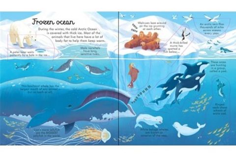 SBG9FE9a1600709928-420x280