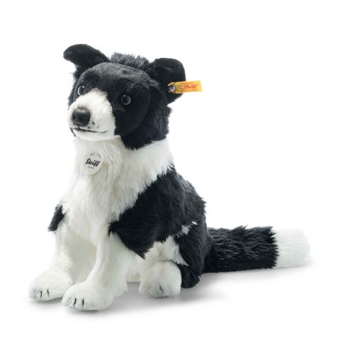 jaycee-border-collie-122163