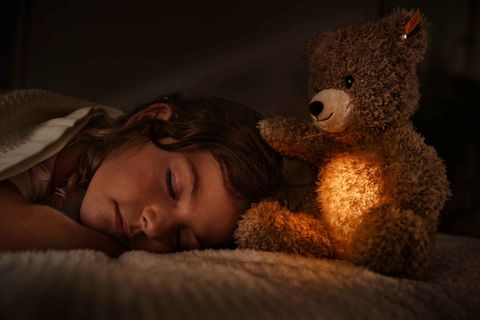 light-at-night-caspar-teddybaer-114076-3