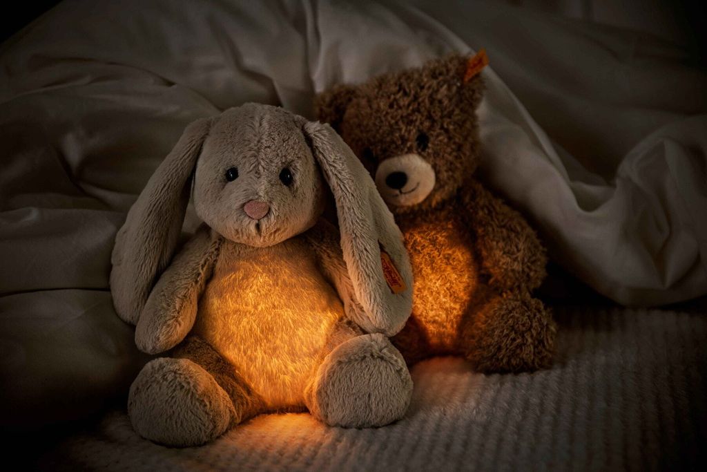 light-at-night-caspar-teddybaer-114076-1