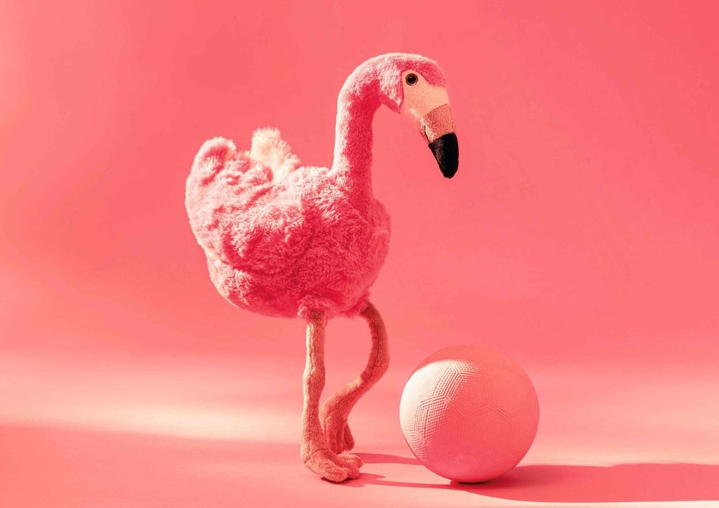 jill-flamingo-063992-1