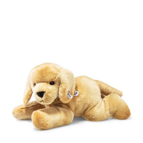 heavenly-hugs-henny-hund-067433-12