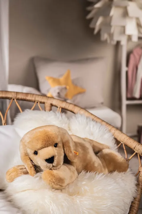 heavenly-hugs-henny-hund-067433-11