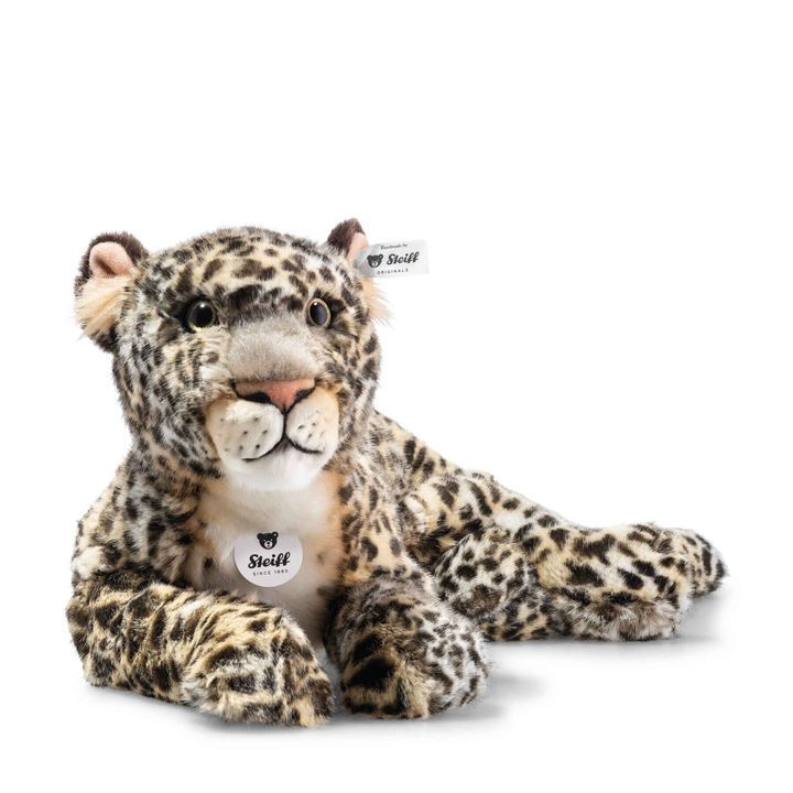 parddy-leopard-067518-27