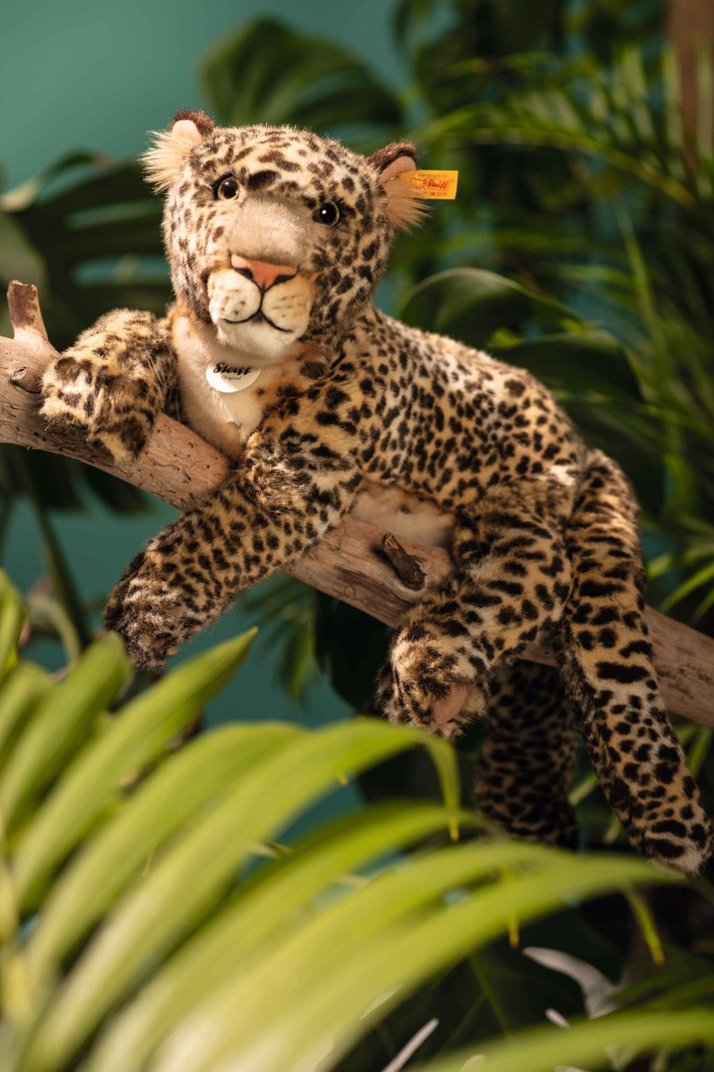 parddy-leopard-067518-23