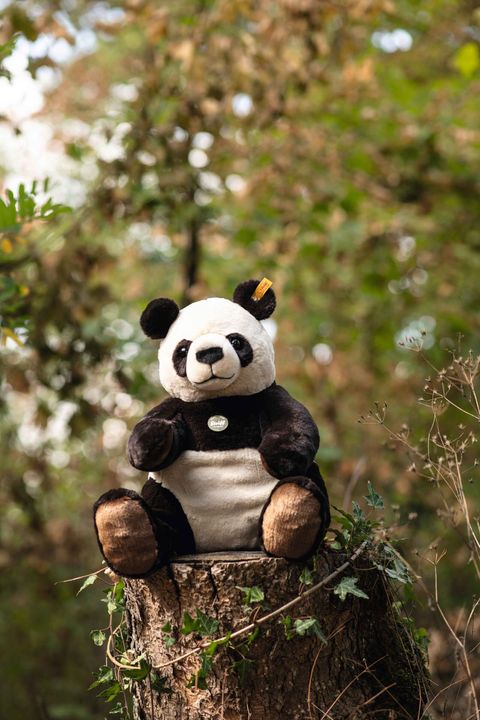 teddies-for-tomorrow-pandi-grosser-panda-067877-22