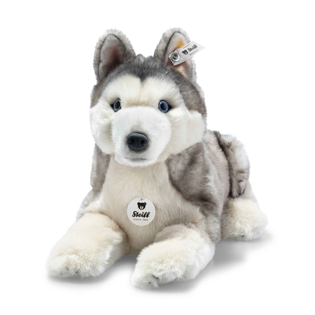 bernie-husky-067891-20
