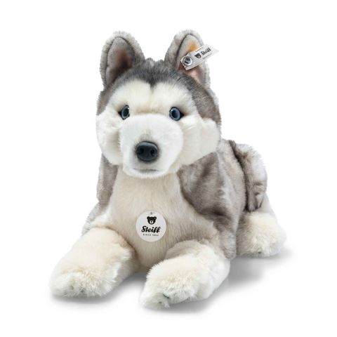 bernie-husky-067891-20
