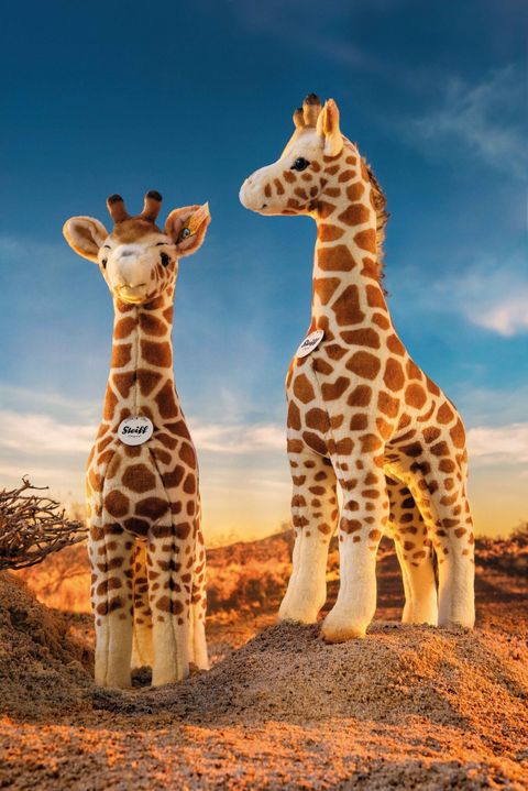 bendy-giraffe-068041-5