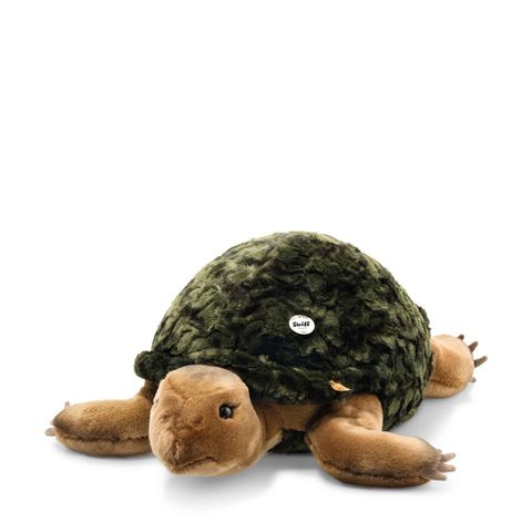 slo-schildkroete-068478-3