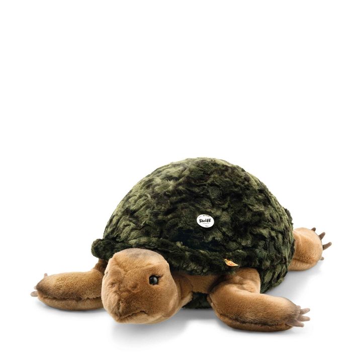 slo-schildkroete-068478-3