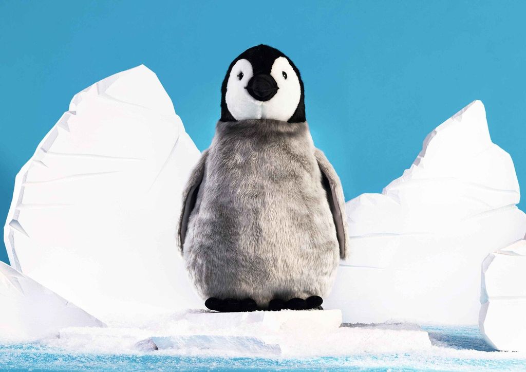 flaps-pinguin-075728-10