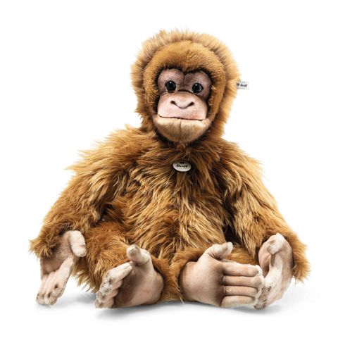 alena-orang-utan-064883-5