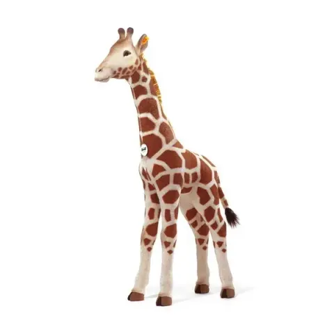 studio-giraffe-502170-3