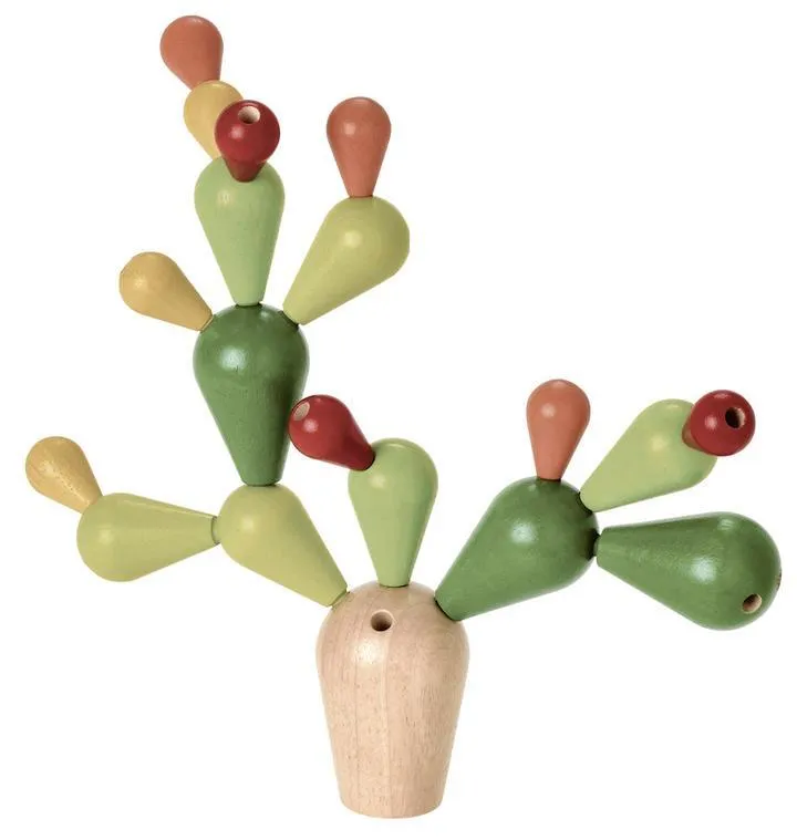 4101BalancingCactus_PS_720x