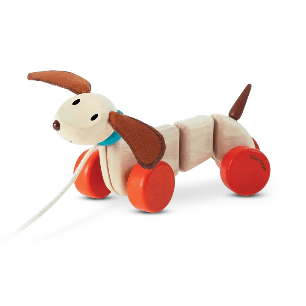 5101_PlanToys_HAPPY_PUPPY_Push_and_Pull_Gross_Motor_Coordination_Imagination_12m_Wooden_toys_Education_toys_Safety_Toys_Non-toxic_0