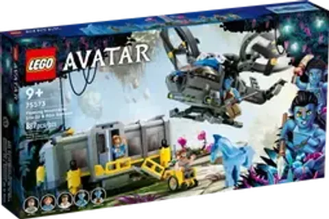 75573_alt1