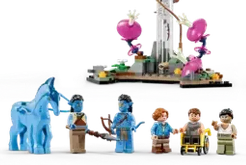 75573_alt3