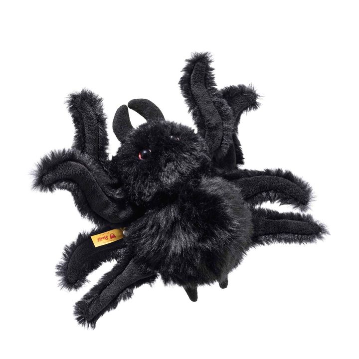 cobweb-spinne-061721-1