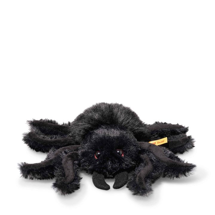 cobweb-spinne-061721