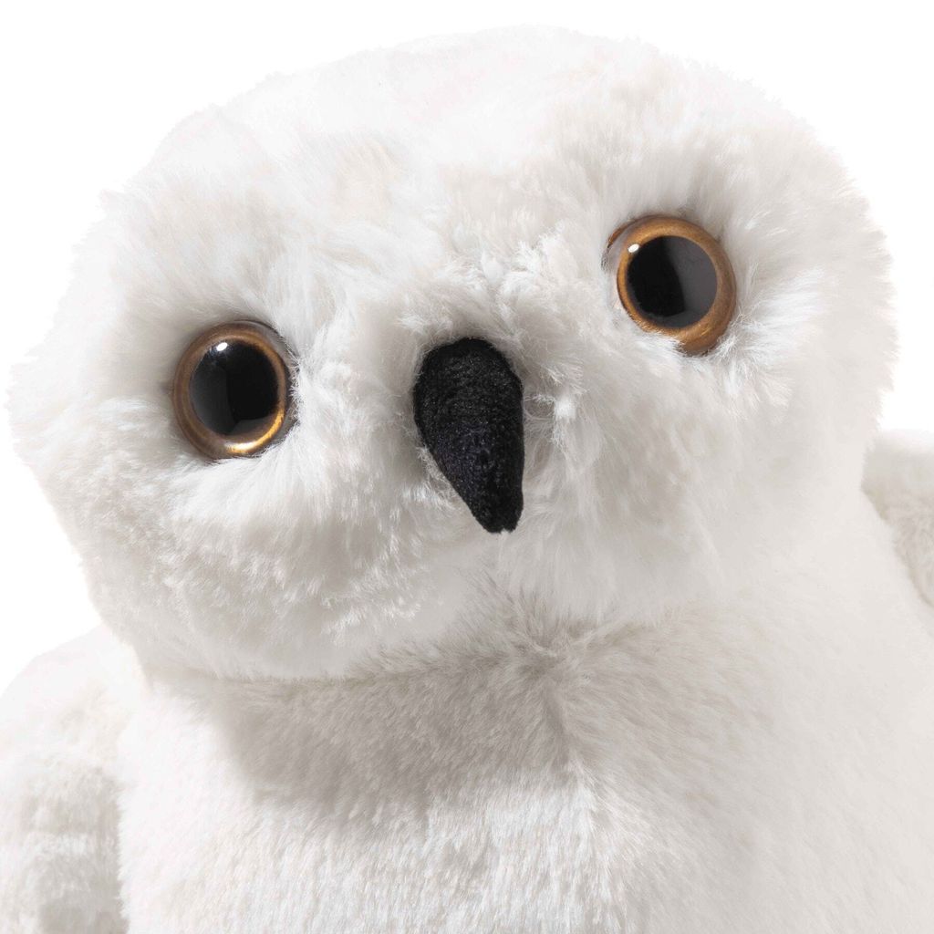hedwig-eule-024214-2