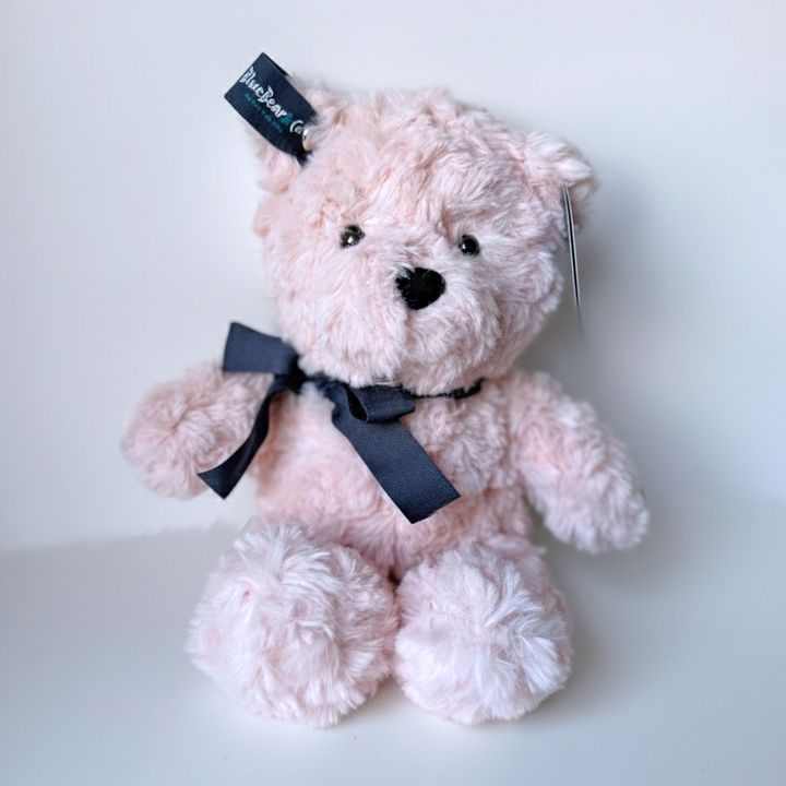 LIGHT-PINK-BEAR