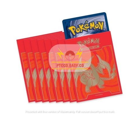 thumbnail (8)-1668959481054