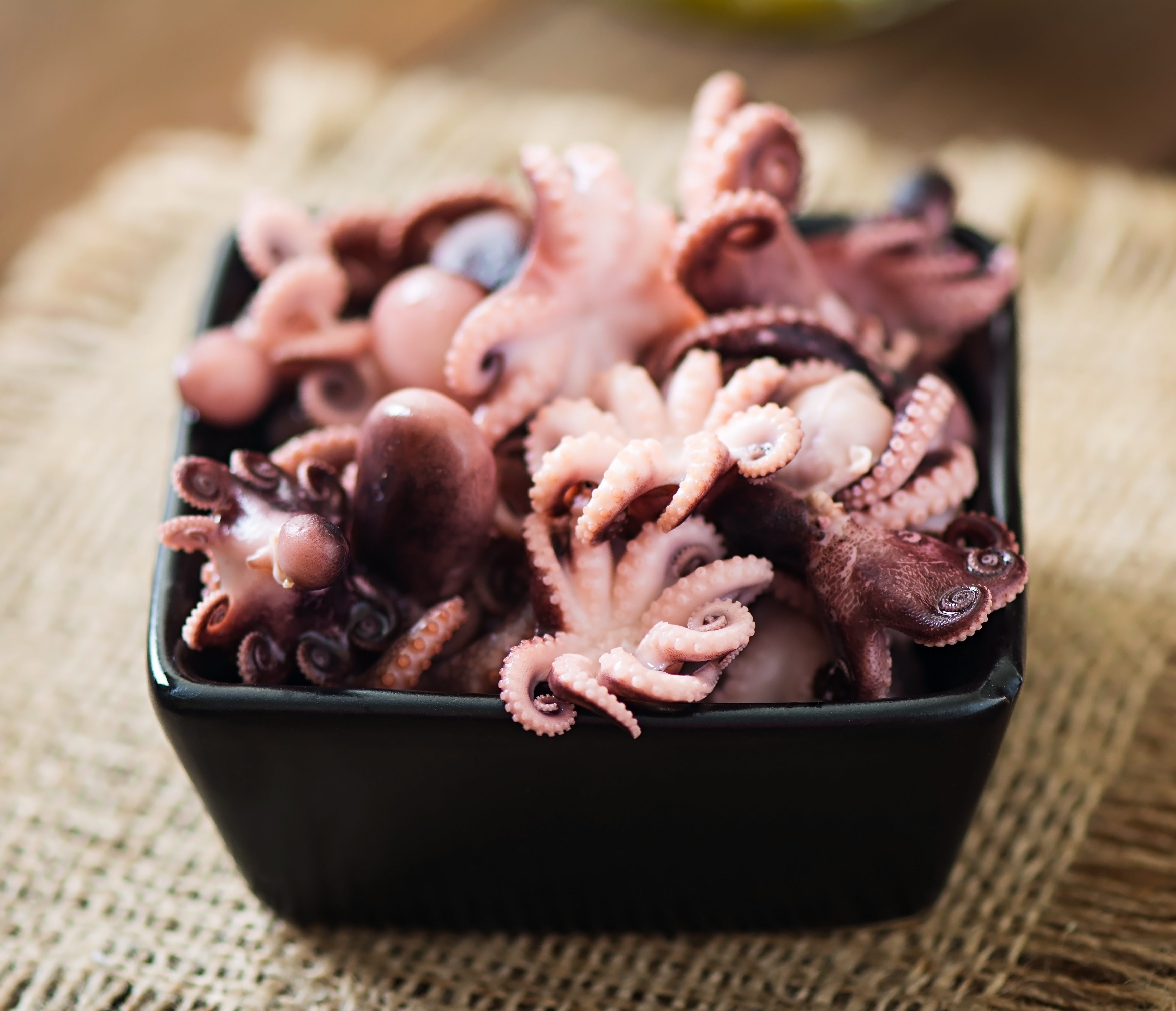 boiled-small-octopus-plate