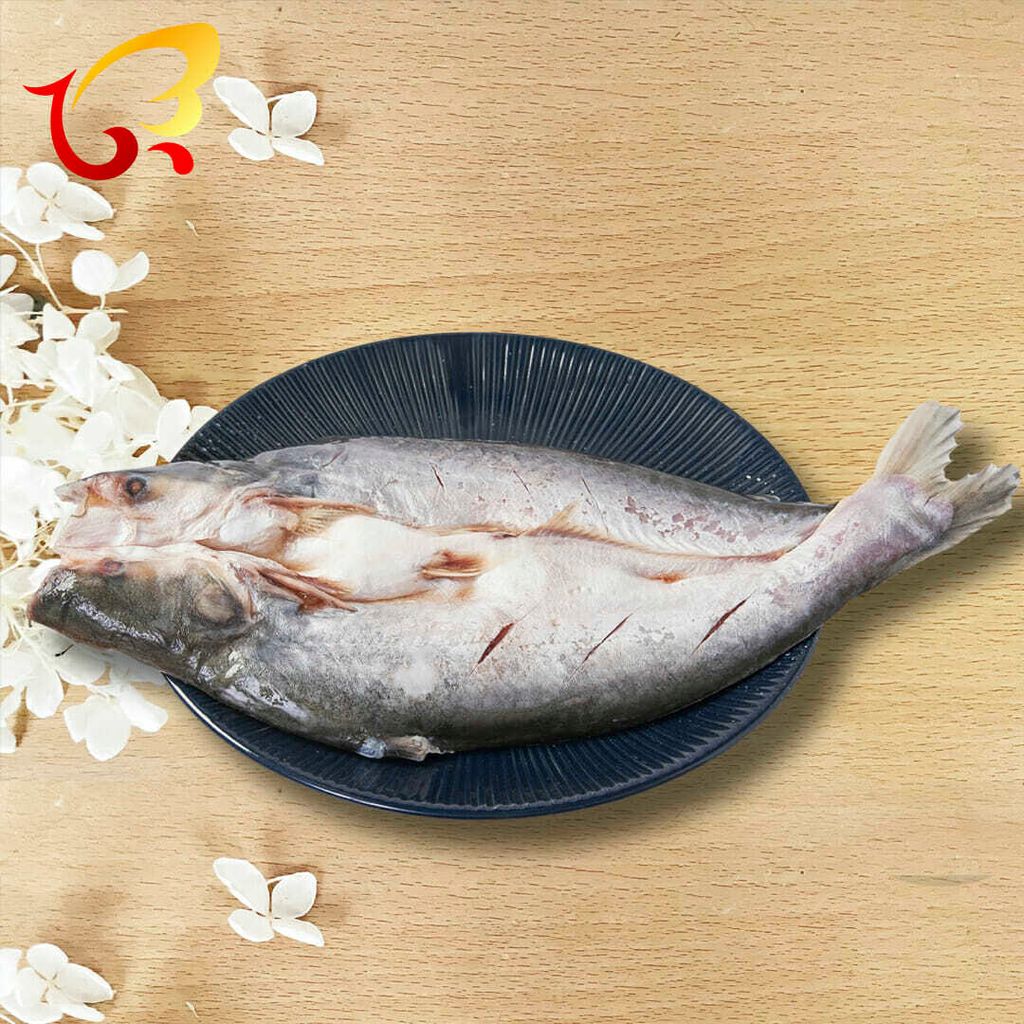 鯰魚2