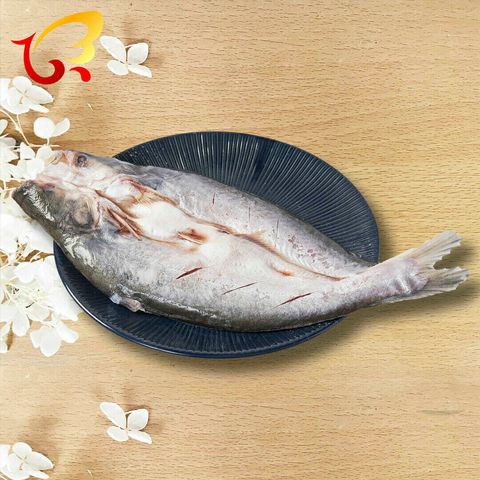 鯰魚1-1