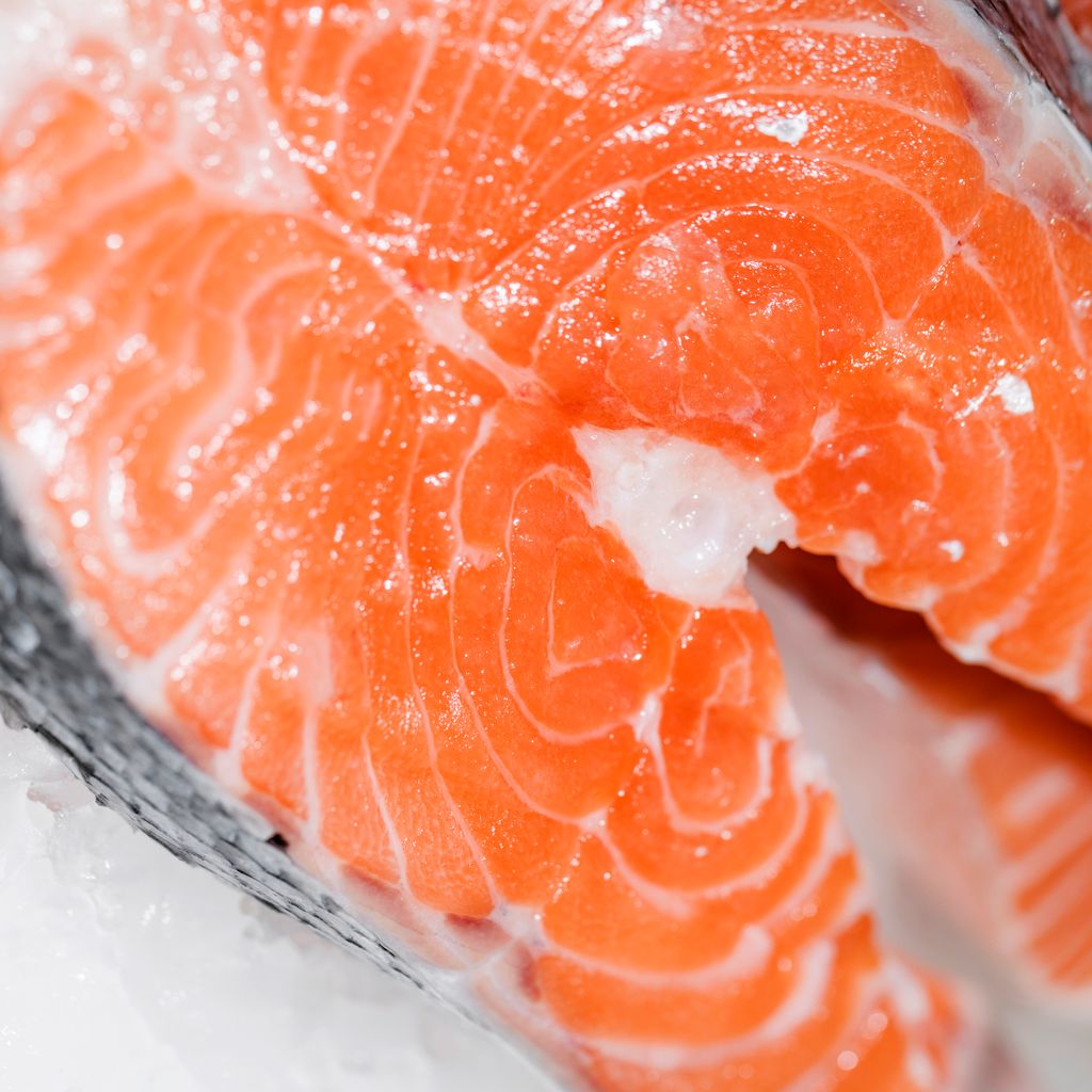 鮭魚 (1)-